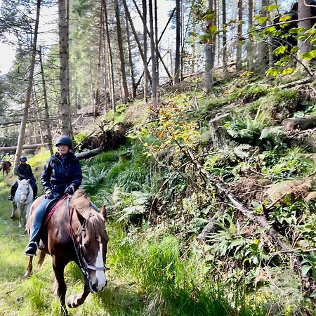 Scottish Equi B&B Ланарк Экстерьер фото