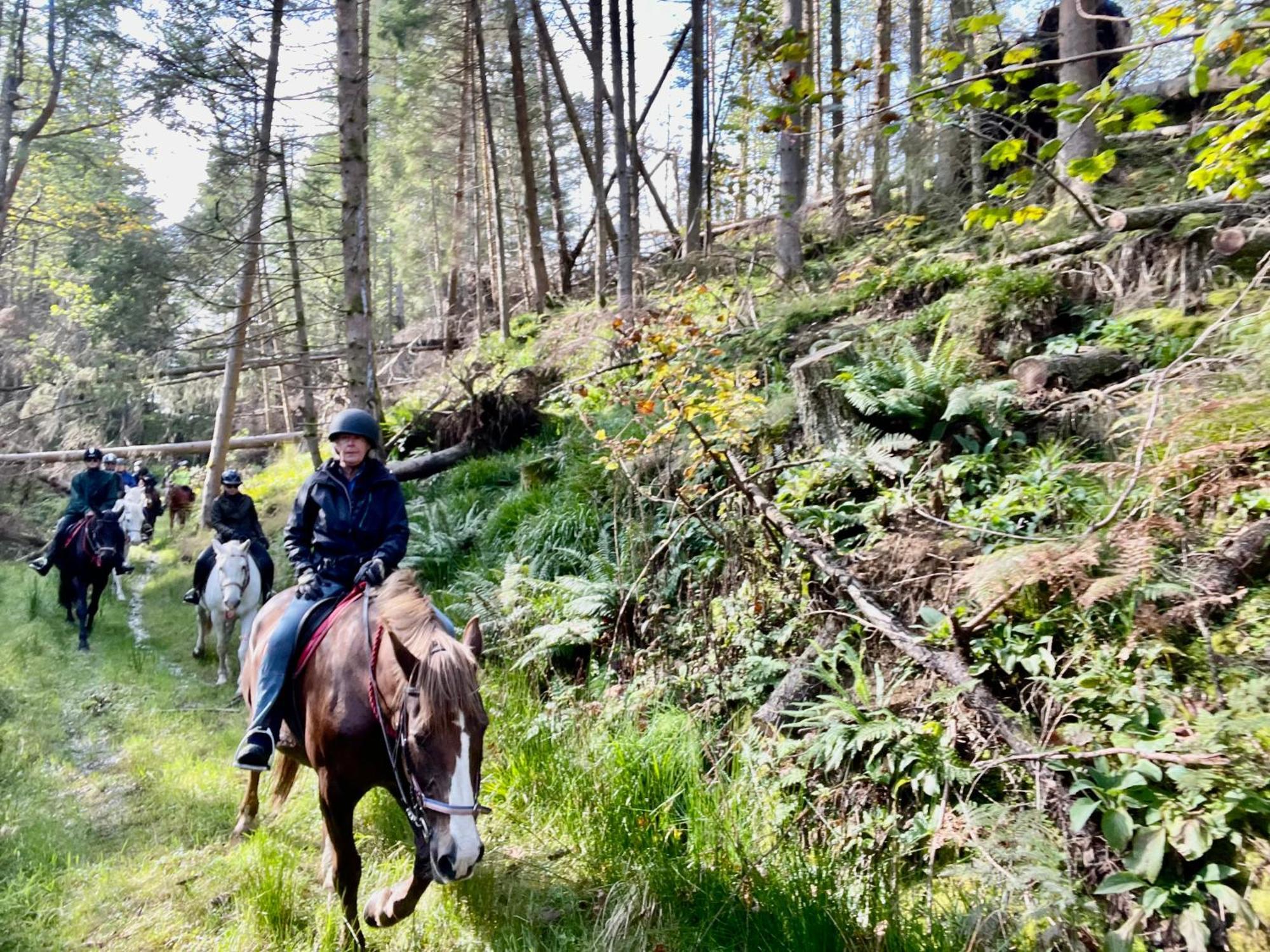Scottish Equi B&B Ланарк Экстерьер фото